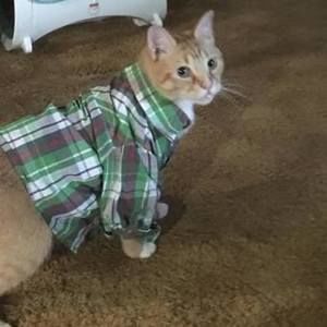 Meet your Posher, Gretchen